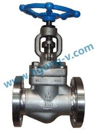 API Stainless steel forged globe valve